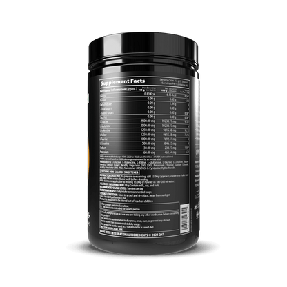 QNT Post Workout Amino Endurance BCAA Powder