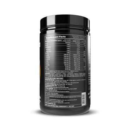 QNT Post Workout Amino Endurance BCAA Powder